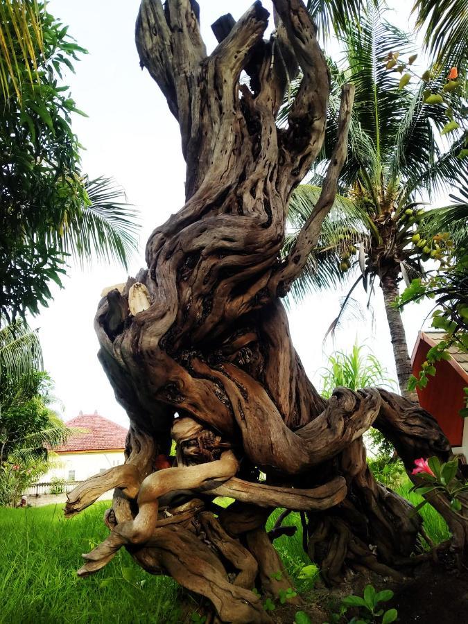 Coconut Gili Meno Hotel Exterior foto
